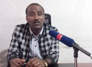 በአማራ ክልል 350 ሺህ ሄክታር መሬት ቡናን ለመልማት የተመቼ መኾኑ ተገለጸ።