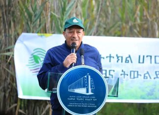 “ለመጪው ትውልድ አረንጓዴ የለበሰች ሀገር ለማስረከብ አሻራችንን እናኖራለን” ምክትል ጠቅላይ ሚኒስትር ተመስገን ጥሩነህ