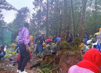 ታዋቂ ግለሰቦች፣ የኪነ ጥበብ ባለሙያዎች እና የሚዲያ ተቋማት የተሳተፉበት የችግኝ ተከላ መርሐ ግብር በአዲስ አበባ ከተማ ተካሄደ፡፡