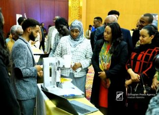 “ወጣቶች ሥራ ፈጣሪ እንዲኾኑ ማበረታታት እና አጋዥ ፖሊሲዎችን መቅረጽ ያስፈልጋል”ኤርጎጌ ተስፋዬ (ዶ.ር)
