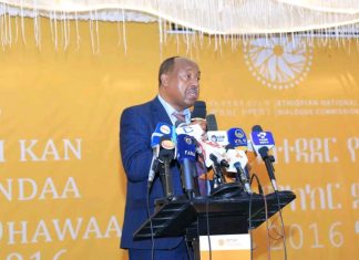 “በመመካከር እና በመወያየት የማይሽር ቁስል የለም” አምባሳደር መሐሙድ ድሪር