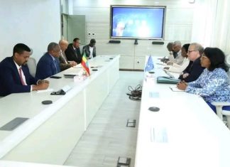 “ኢትዮጵያ በግብርና ዘርፍ ያስመዘገበችው ውጤት ለአፍሪካ ሀገራት ተምሳሌት ነው” በተባበሩት መንግስታት ድርጅት የምግብ እና እርሻ ድርጅት ዋና የኢኮኖሚ አማካሪ ማክሲሞ ቶሬሮ (ዶ.ር)