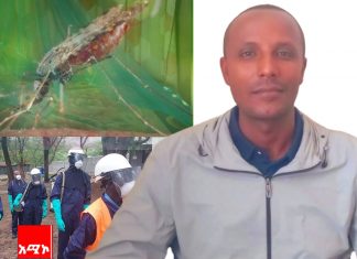 በአማራ ክልል የተከሰተውን የወባ ሥርጭት መቀነስ ካልተቻለ በመስከረም እና ጥቅምት ወራት ላይ ከባድ የኾነ ችግር ሊያስከትል እንደሚችል ተጠቆመ።