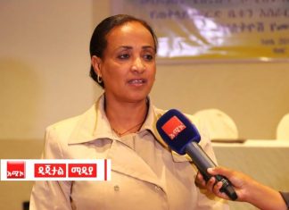 “የፍትሕ ሥርዓቱን አገልግሎት አሰጣጥ ለማቀላጠፍ ተቋማቱን በቴክኖሎጂ ማጠናከር ይገባል” አፈ ጉባኤ ፋንቱ ተስፋዬ