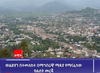 “ወልድያን ሊቀይሩ የሚችሉ የልማት ሥራዎች በጥሩ ኹኔታ ቀጥለዋል” የወልድያ ከተማ ተቀዳሚ ምክትል ከንቲባ ዱባለ አብራር