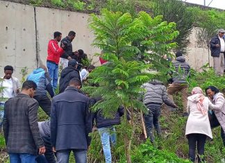 የአዲስ አበባ ከተማ የደን ሽፋን ከነበረበት 2 ነጥብ 8 በመቶ ወደ 17 በመቶ ማሳደግ መቻሉ ተገለጸ።