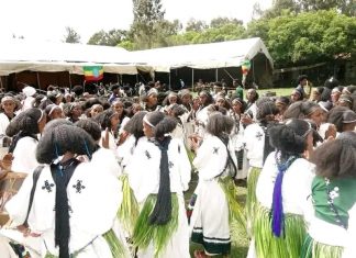 የሻደይ በዓል ያለምንም የፀጥታ ችግር እንዲከበር ቅድመ ዝግጅት ማጠናቀቁን ፖሊስ አስታወቀ።