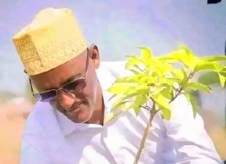 ማኅበረሰቡ በነቂስ ወጥቶ የአንድ ጀምበር ችግኝ ተከላ መርሐ ግብር ላይ እንዲሳተፉ የአፋር ክልል ርእሰ መሥተዳደር ሐጂ አወል አርባ አሳሰቡ።