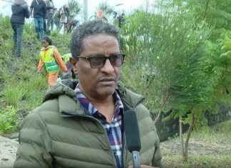 ተፎካካሪ ፓርቲዎች በአንድ ጀምበር ችግኝ ተከላ መርሐ-ግብር ሁሉም ማኀበረሰብ የነቃ ተሳትፎ እንዲያደርግ ጥሪ አቀረቡ።