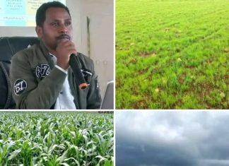 ከ556 ሺህ ሄክታር በላይ መሬት በዘር መሸፈኑን የምሥራቅ ጎጃም ዞን ግብርና መምሪያ አስታወቀ።