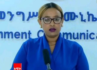 ኢትዮጵያ ከኮንፈረንስ ቱሪዝም ተጠቃሚ እንድትኾን እንደሚሠራ የኮሙዩኒኬሽን ሚንስትር ድኤታ ሰላማዊት ካሣ ገለጹ።