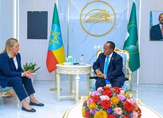 ፕሬዚዳንት ታዬ አጽቀ ሥላሴ ከአውሮፓ ኅብረት ዓለም አቀፍ ትብብር ኮሚሽነር ጋር ተወያዩ።