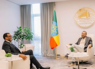 ጠቅላይ ሚኒስትር ዐቢይ አሕመድ (ዶ.ር) ከአፍሪካ ልማት ባንክ ፕሬዚዳንት ጋር ተወያዩ።