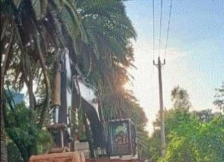 ለባሕር ዳር ልዩ ገጽታ የሚያላብሰው የጣና ተስፋ ኮሪደር ልማት።