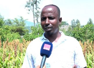 ከመኸር ሰብል ከ740 ሺህ ኩንታል በላይ ምርት እንደሚጠበቅ በደቡብ ወሎ ዞን የቃሉ ወረዳ ገለጸ፡፡