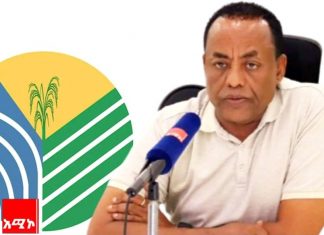 በአማራ ክልል በዘር ከተሸፈነው መሬት ከ450 ሺህ ሄክታር በላይ ሰብል መሠብሠቡን ግብርና ቢሮ ገለጸ።
