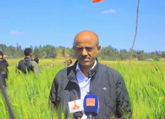 የሕዝቡን የምግብ ዋስትና ለማረጋገጥ ታስቦ በመሠራቱ በክልሉ የተሻለ ምርት እንደሚገኝ ርእሰ መሥተዳድር አረጋ ከበደ ገለጹ፡፡