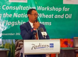 ከውጭ የሚገቡ ምርቶችን በሀገር ውስጥ ምርት ለመተካት እየተሠራ መኾኑን የግብርና ሚኒስቴር አስታወቀ።