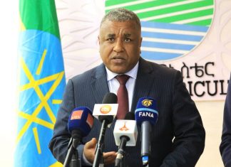 ኢትዮጵያ እና ጀርመን በተፈጥሮ ሃብት ጥበቃ እና በግብርና ምርቶች ላይ በጋራ ለመሥራት መግባባታቸውን የግብርና ሚኒስትር ግርማ አመንቴ (ዶ.ር) አስታወቁ።