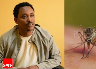 የወባ በሽታ ስርጭት እየጨመረ መምጣቱን የደብረማርቆስ ከተማ አሥተዳደር አስታወቀ።