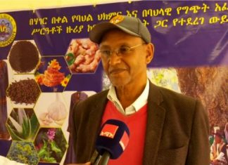 ዩኒቨርስቲው የልህቀት ማዕከል ለመሆን የሀገር በቀል እውቀት ላይ እየሠራ መኾኑን ገለጸ።