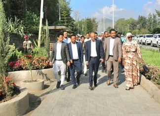 ርእሰ መሥተዳደር አረጋ ከበደ በኮምቦልቻ ከተማ የልማት ሥራዎችን እየገበኙ ነው።