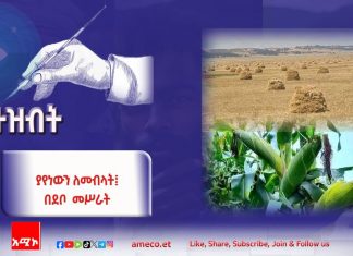 “ጤፉ የፍሬውን ዛላ መሸከም ተስኖት አንገቱን ደፍቷል”