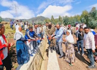 በደብረሲና ከተማ የእየተሠሩ የሚገኙ የልማት ፕሮጀክቶች የሥራ እድል በመፍጠር ውጤታማ መኾናቸው ተገለጸ።