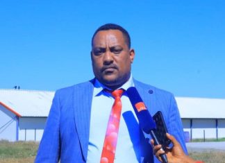በደብረ ብርሃን ከተማ አሥተዳደር የኢንዱስትሪ ፍሰቱ ከጊዜ ወደ ጊዜ እየጨመረ ነው።