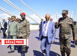 ፊልድ ማርሻል ብርሃኑ ጁላ የባሕር ዳር ከተማ የልማት ሥራዎችን እየጎበኙ ነው።