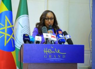 የኢትዮጵያ ኢኮኖሚ ባለፉት 60 ዓመታት በአማካይ በ4 ነጥብ 2 በመቶ ማደጉን የፕላን እና ልማት ሚኒስትሯ ፍፁም አሰፋ (ዶ.ር) ገለጹ።