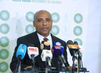 ኢትዮጵያ ፖለቲካዊ ነጻነትን እና የአፍሪካን ሰላም ለመጠበቅ ያደረገችውን አስተዋጽኦ የሚያስተዋውቅ ኮንፈረንስ እንደሚያካሂድ የሰላም ሚኒስቴር አስታወቀ።