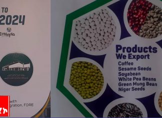 ኢትዮጵያ በወጭ ንግድ ከፍተኛ ለውጥ እያስመዘገበች መኾኑን የንግድ እና ቀጣናዊ ትስስር ሚኒስቴር አስታወቀ።