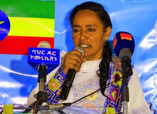 በባሕር ዳር ከተማ የመንገድ መሠረተ ልማት ሥራ ተጠናክሮ መቀጠሉን የባሕር ዳር ከተማ ምክር ቤት አስታወቀ።