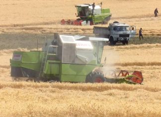 “ስንዴን የምናመርተው ለምግብ ፍጆታ ብቻ ሳይኾን ወደ ውጭ ኤክስፖርት ለማድረግ ነው” የአርሲ ዞን አርሶአደሮች