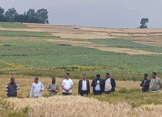 የማክሮ ኢኮኖሚ ፖሊሲው ከውጭ የሚገቡ ምርቶችን በሀገር ውስጥ ለማምረት እንደሚያስችል ተገለጸ።