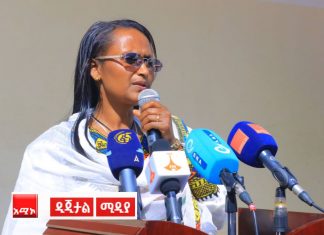 “ከተባበርን ሁሉን ማድረግ የሚያስችል አቅም አለን” ሙሉነሽ ደሴ (ዶ.ር)
