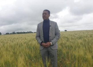 “ስንዴ አምራች አርሶ አደሮች በቀጣይ የኢንዱስትሪ ሽግግር እንዲያደርጉ ይሠራል” የመንግሥት ኮሙዩኒኬሽን