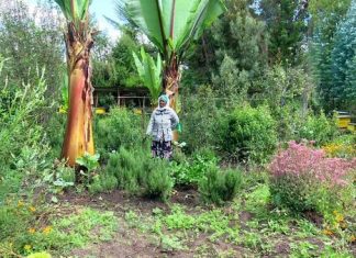 ሌማት ትሩፋት የአርሶ አደሮችን ሕይዎት ለማሻሻል በትኩረት እየሠራ መኾኑን በኦሮሚያ ክልል የባሌ ዞን አሥተዳደር አስታወቀ።