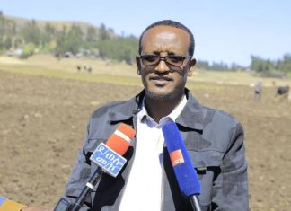 የደቡብ ወሎ ዞን በበጋ መስኖ ከ1 ነጥብ 4 ሚሊዮን ኩንታል በላይ ለማምረት አቅዶ እየሠራ ነው።