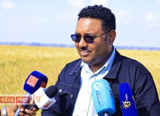 በአማራ ክልል ከሩዝ ሰብል 14 ሚሊየን ኩንታል ምርት ለመሰብሰብ እየተሠራ ነው።