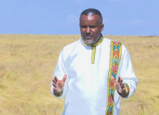 ሰብል በወቅቱ እንዲሠበሠብ በትኩረት እየተሠራ መኾኑን የምሥራቅ ጎጃም ዞን አስታወቀ።