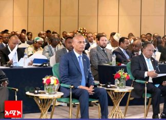 “ኢትዮጵያ ለቀጣናው ሰላም እና መረጋጋት የጎላ አስተዋጽኦ እያበረከተች ነው” አምባሳደር ባንኮሌ አዲዎዬ