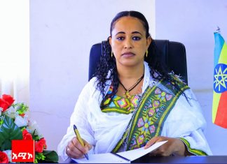 የሚገነቡ መሰረተ ልማቶች የአካል ጉዳተኞችን ምቾት ታሳቢ እንዲያደርጉ ተጠየቀ።