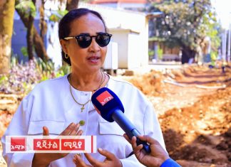 “በባሕር ዳር የሚሠራው የኮሪደር ልማት የከተማዋን የተፈጥሮ ውበት ይበልጥ እየገለጠ ነው” አፈ ጉባኤ ፋንቱ ተሥፋዬ
