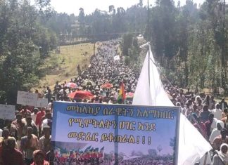 ጦርነት ሰልችቶናል ሰላም እንፈልጋለን!