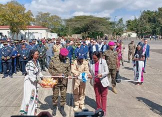 የአየር ኃይል 89ኛ ዓመት የምስረታ በዓል እየተከበረ ነው።