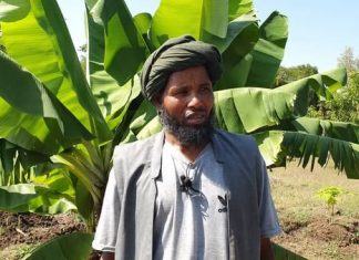 በመስኖ ልማት ተጠቃሚ መኾናቸውን የምዕራብ ጎንደር ዞን አርሶ አደሮች ተናገሩ፡፡