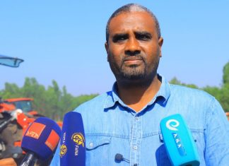 “በበጋ ስንዴ ልማት በመትጋት ከራስ አልፎ ምርትን ወደ ውጭ መላክ መቻል የሉዓላዊነት እና የሀገርን ክብር የማስመለስ ጉዳይ ነው” ምክትል ርእሰ መሥተዳድር አብዱ ሁሴን (ዶ.ር)