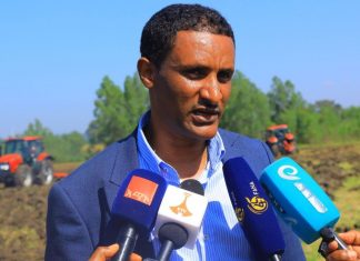 በሰሜን ጎጃም ዞን 19 ሺህ 500 ሄክታር መሬት በበጋ መስኖ ስንዴ ይለማል።